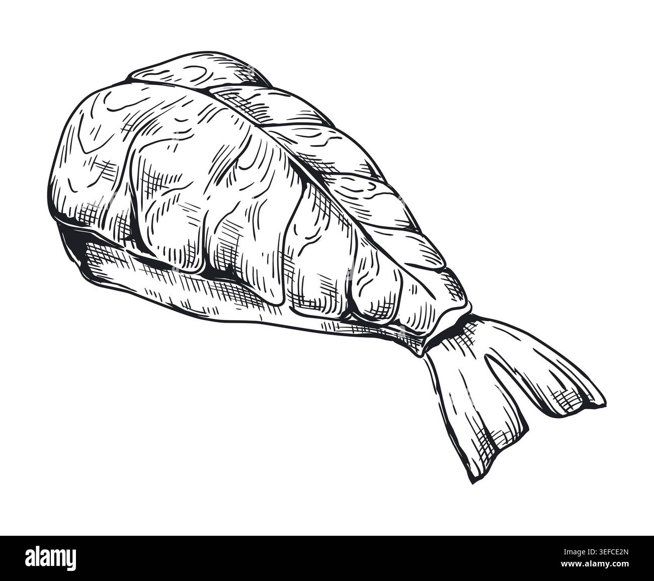 Shrimp Nigiri Skizzenstil. Detaillierte monochrome handgezeichnete asiatische Küche. Sushi-Stück mit Reis und Meeresprodukten, traditionelle japanische Küche Restaurant Menü, Vektor isolierte Gravur Illustration Stock Vektor