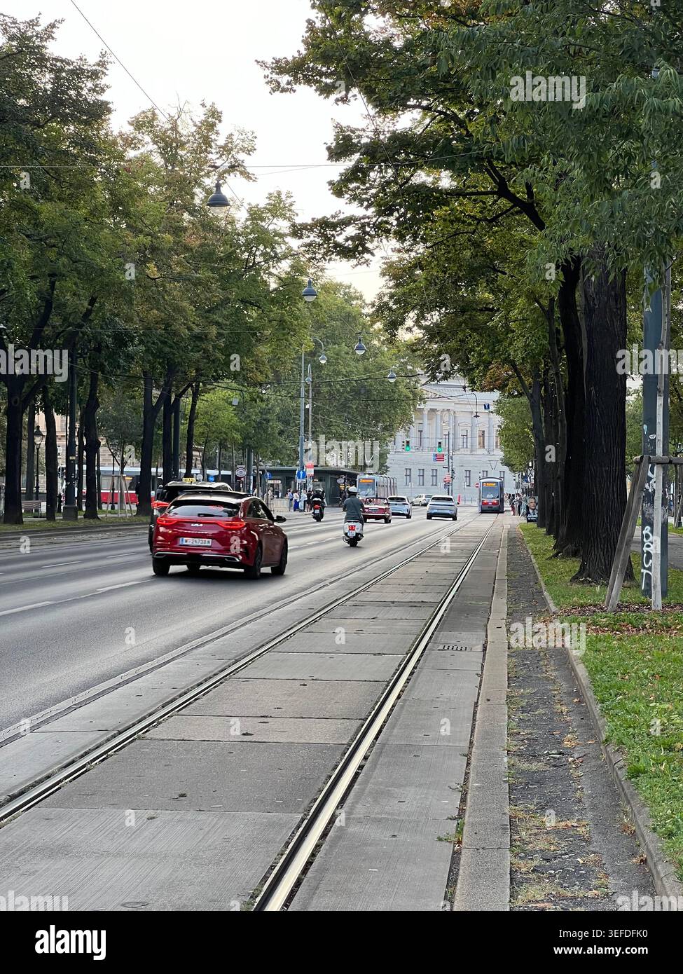 Urbane Ruhe mit einem Hauch von Natur - Smartphone-aufgenommenes Stockfoto