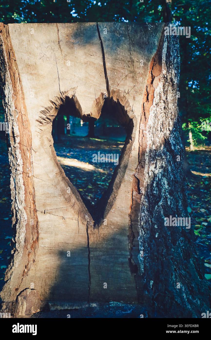 Nahaufnahme eines Baumstamms mit einer herzförmigen Hohlkammer, die in den bewaldeten Hintergrund eingehauen ist, im Kurpark in Szczawno Zdroj, unterer Si Stockfoto