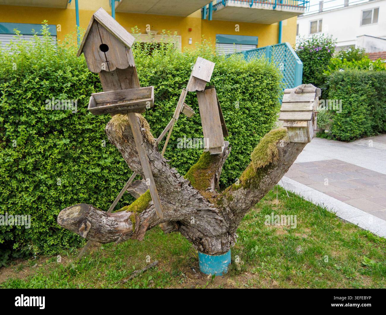 Rustikale hölzerne Vogelhäuser, die auf einem moosigen Baumstamm in einer Gartenumgebung montiert sind Stockfoto