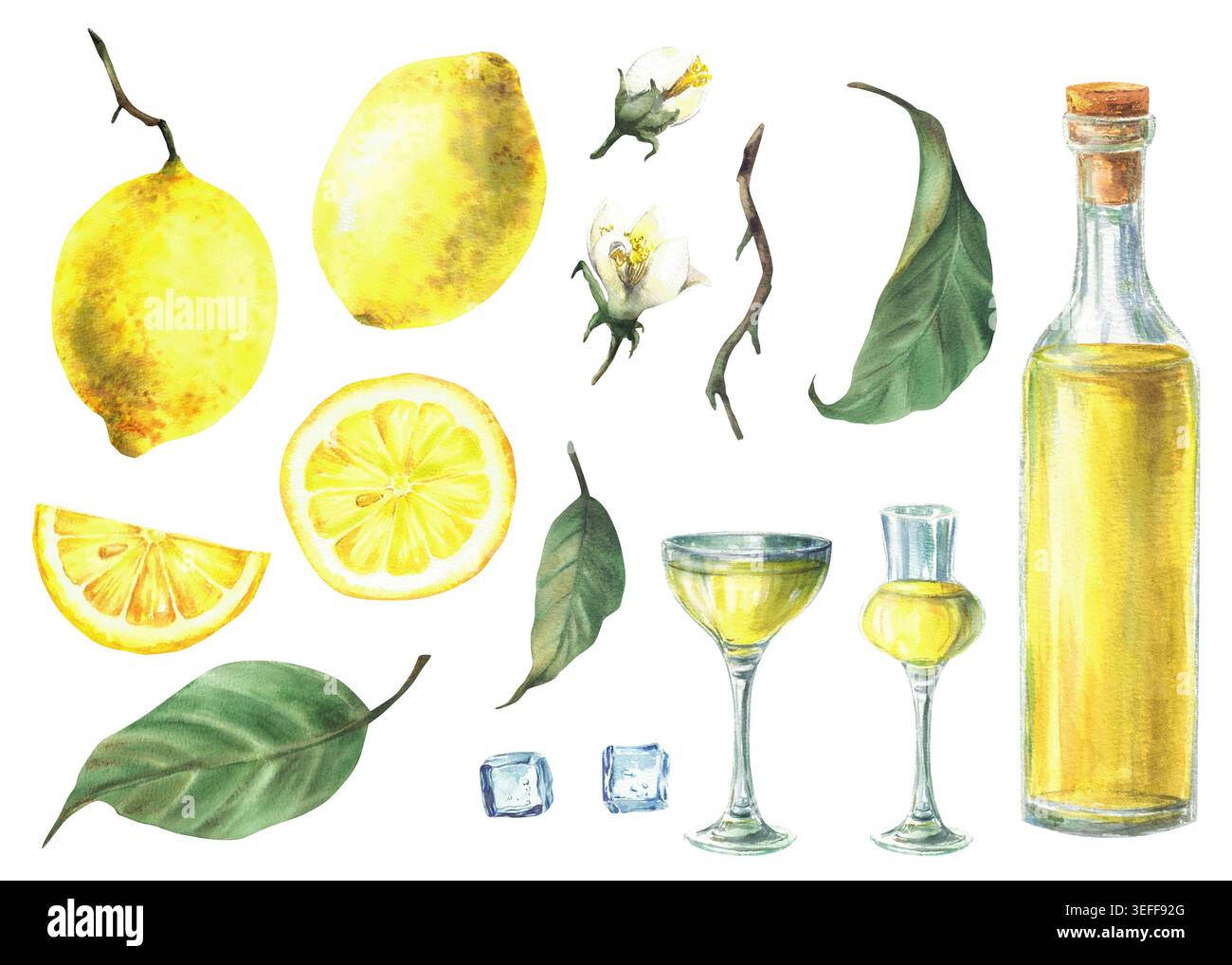 Set mit Zitronen- und Limoncello in Aquarellfarben. Gelber Likör, Getränkeglas, Eiswürfel und ganze, geschnittene und in Scheiben geschnittene Früchte mit Blättern und Blumen. Italienisches Getränk Stockfoto