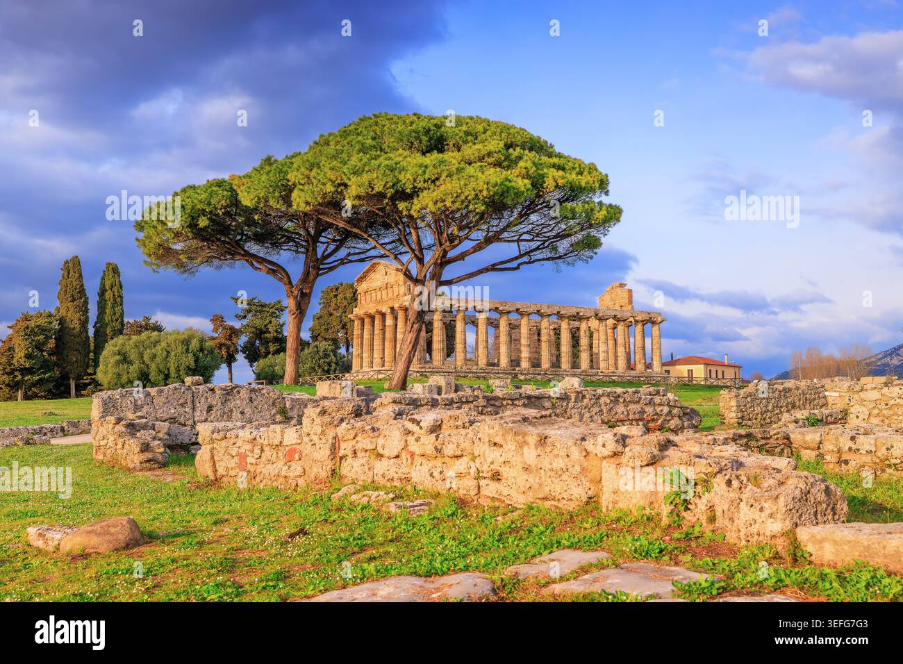 Paestum, Provinz Salerno, Kampanien, Italien. Der Tempel der Athena. Stockfoto