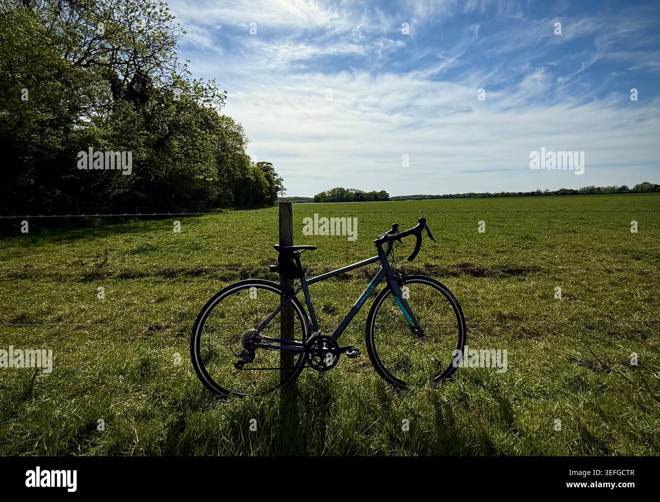 Ein Pinnacle-Rennrad für Damen, das an einem sonnigen Sommertag neben einem offenen Feld in der Landschaft von Norfolk an einem Holzpfosten geneigt ist. Stockfoto