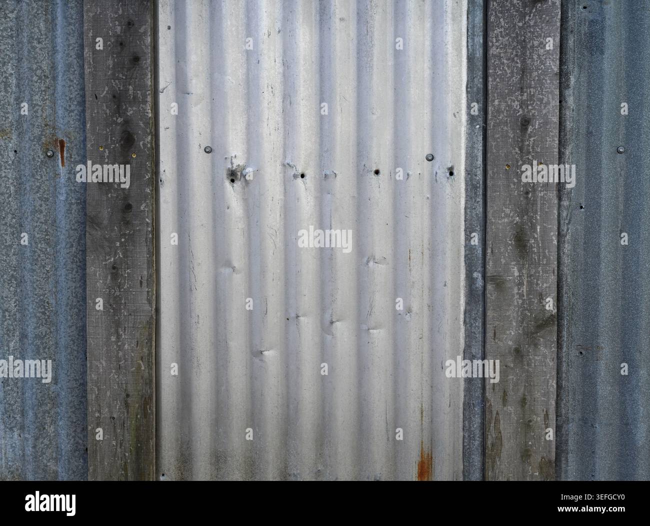 Überlappende wiederaufbereitete Wellbleche mit weiß lackierten und blau getönten Metalloberflächen, vertikal verwitterte Holzplatten Stockfoto