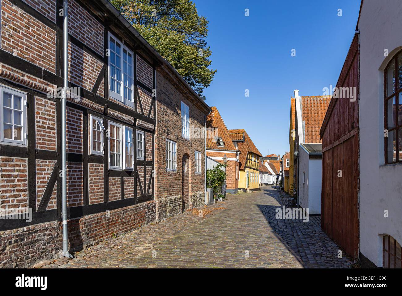Blick auf historische Fachwerkhäuser entlang einer engen Kopfsteinpflasterstraße unter klarem blauen Himmel in der Altstadt von Ribe, Dänemark. Stockfoto