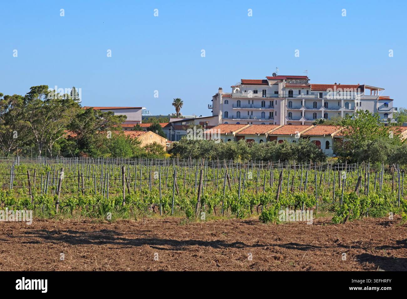 Sizilianische Weinbergslandschaft in der Nähe von Giardini Naxos, in der Nähe des Weinanbaugebiets Nerello Mascalese am Ätna Stockfoto