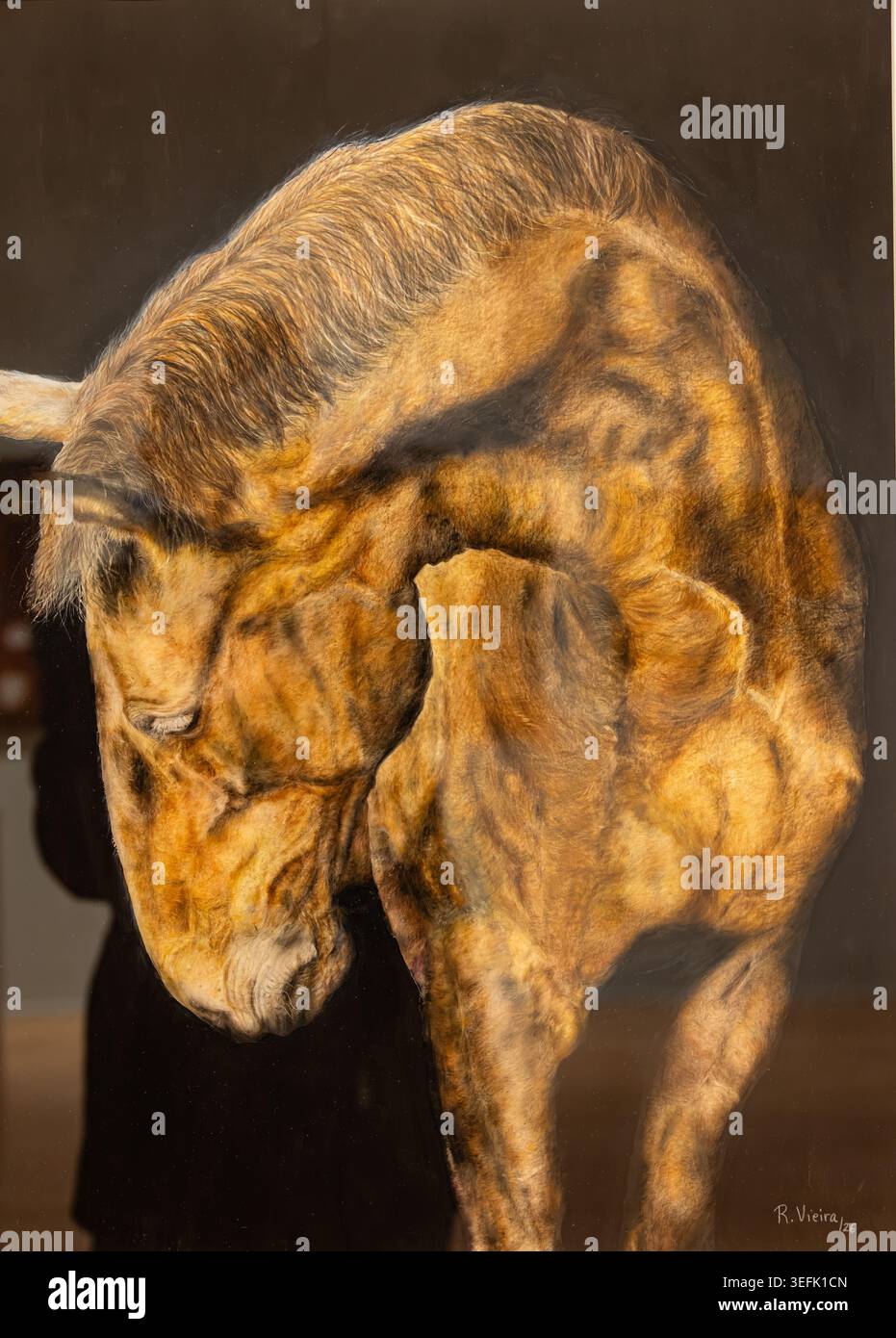 Dramatisches Pferdeporträt mit geschwungenem Hals und warmer Beleuchtung Stockfoto