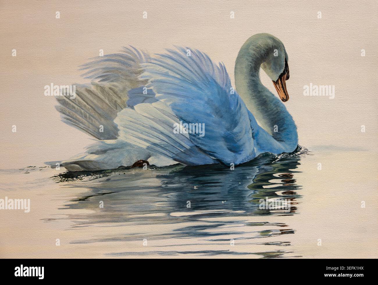Anmutiger weißer Schwan gleitet auf ruhigem reflektierendem Wasser Stockfoto