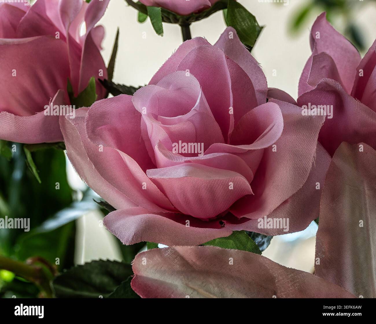 Eine künstliche Pflanze aus rosa Magnolien Stockfoto