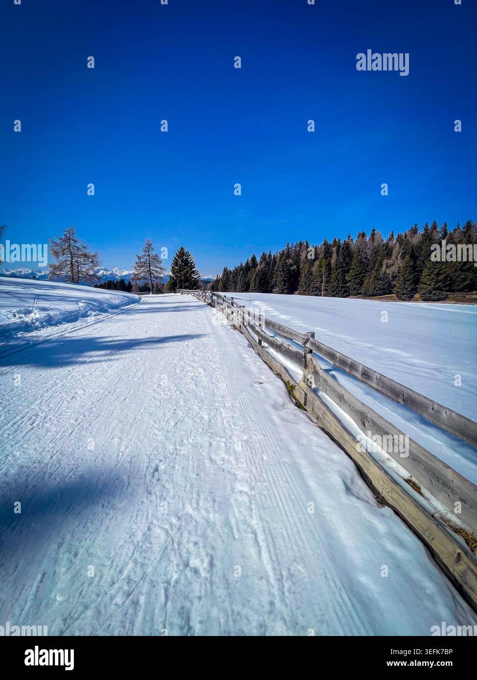 Schneebedeckter Pfad, der sich durch ein Winterfeld entlang eines hölzernen Zauns mit dichtem Wald unter einem klaren blauen Himmel erstreckt Stockfoto