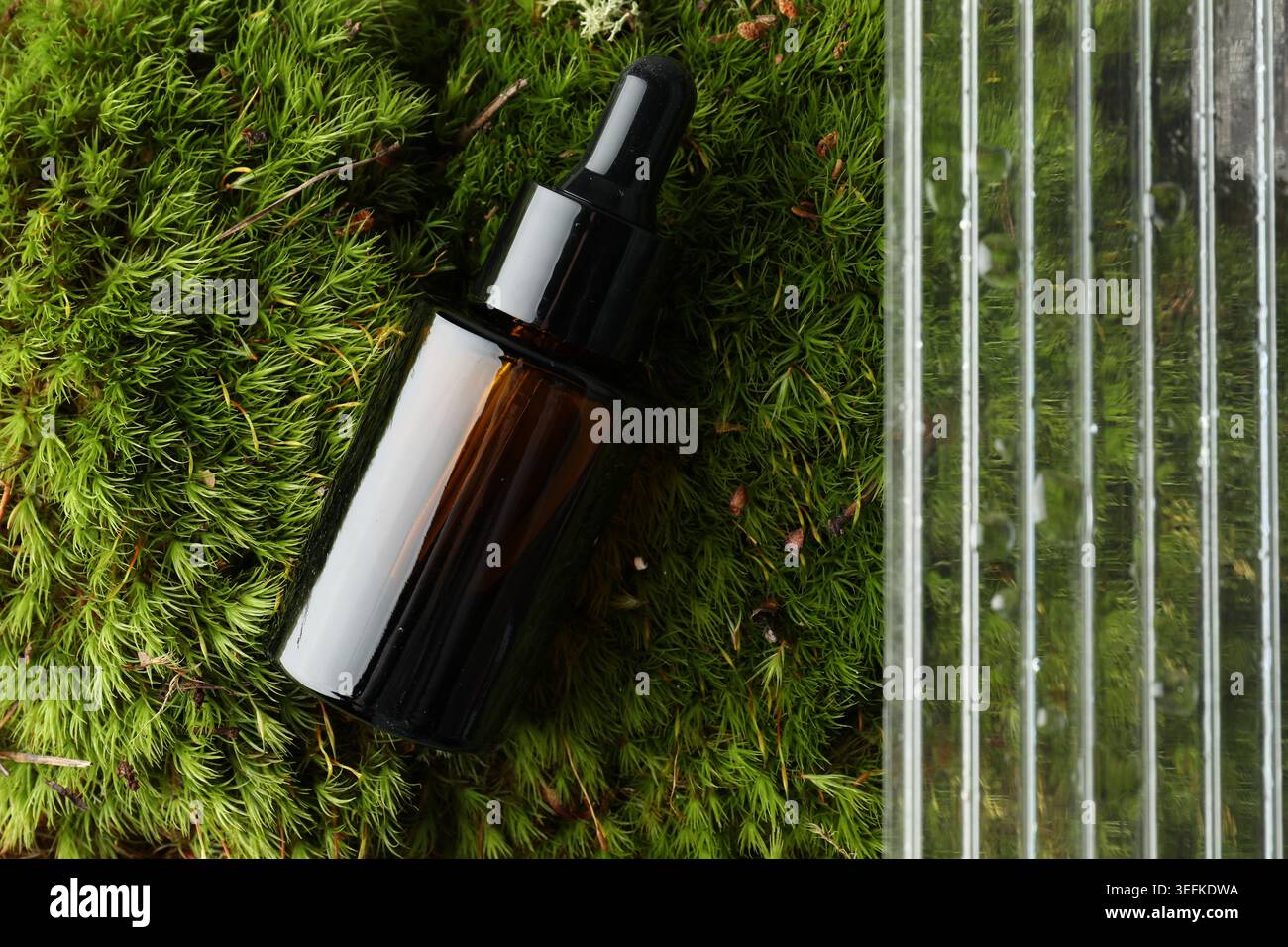 Flasche Kosmetiköl auf grünem Moos und zellulärem Polycarbonat, Draufsicht Stockfoto