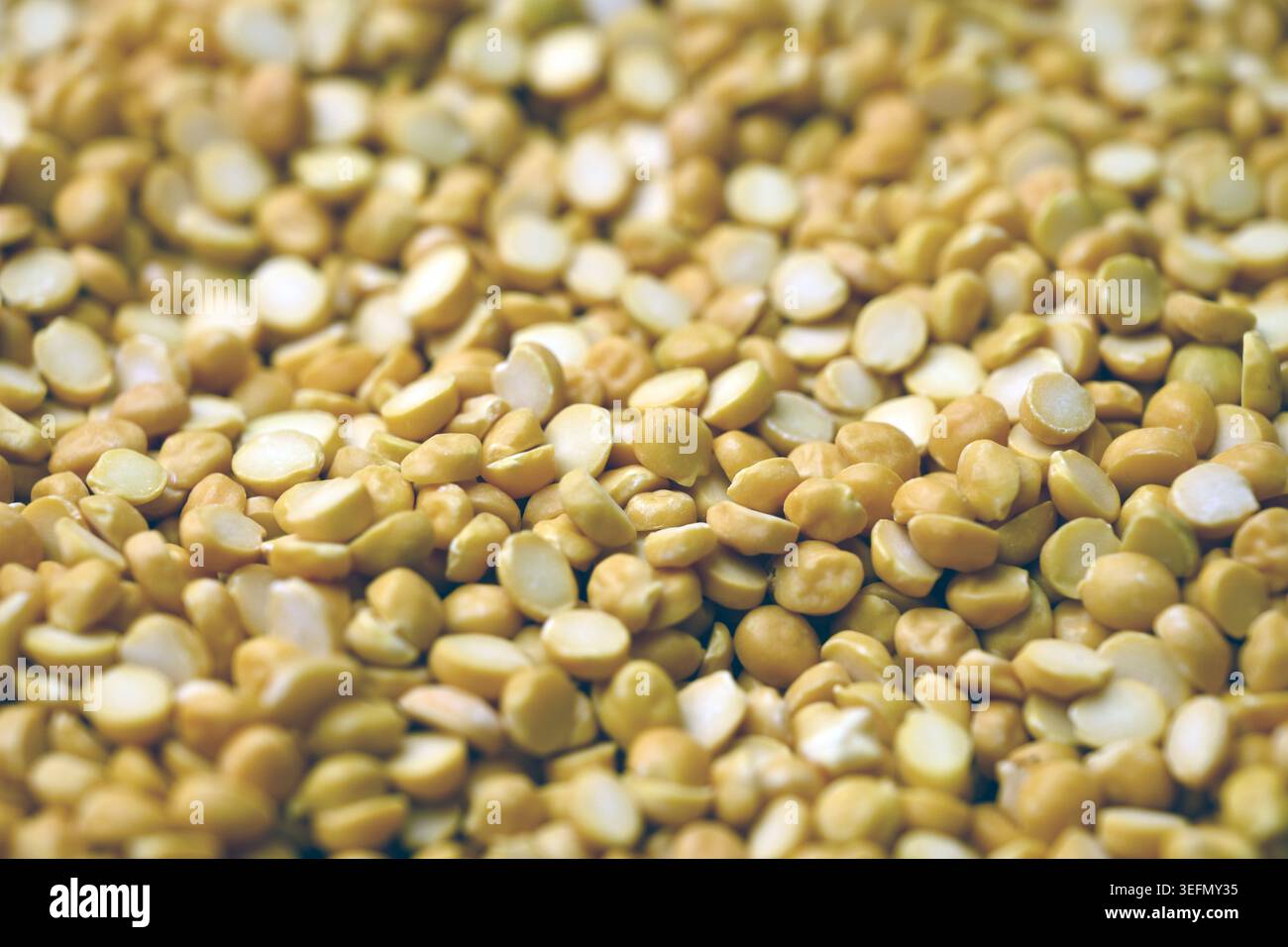 Split Chana Dal Textur mit Defocus Hintergründen Makrofotografie Stockfoto