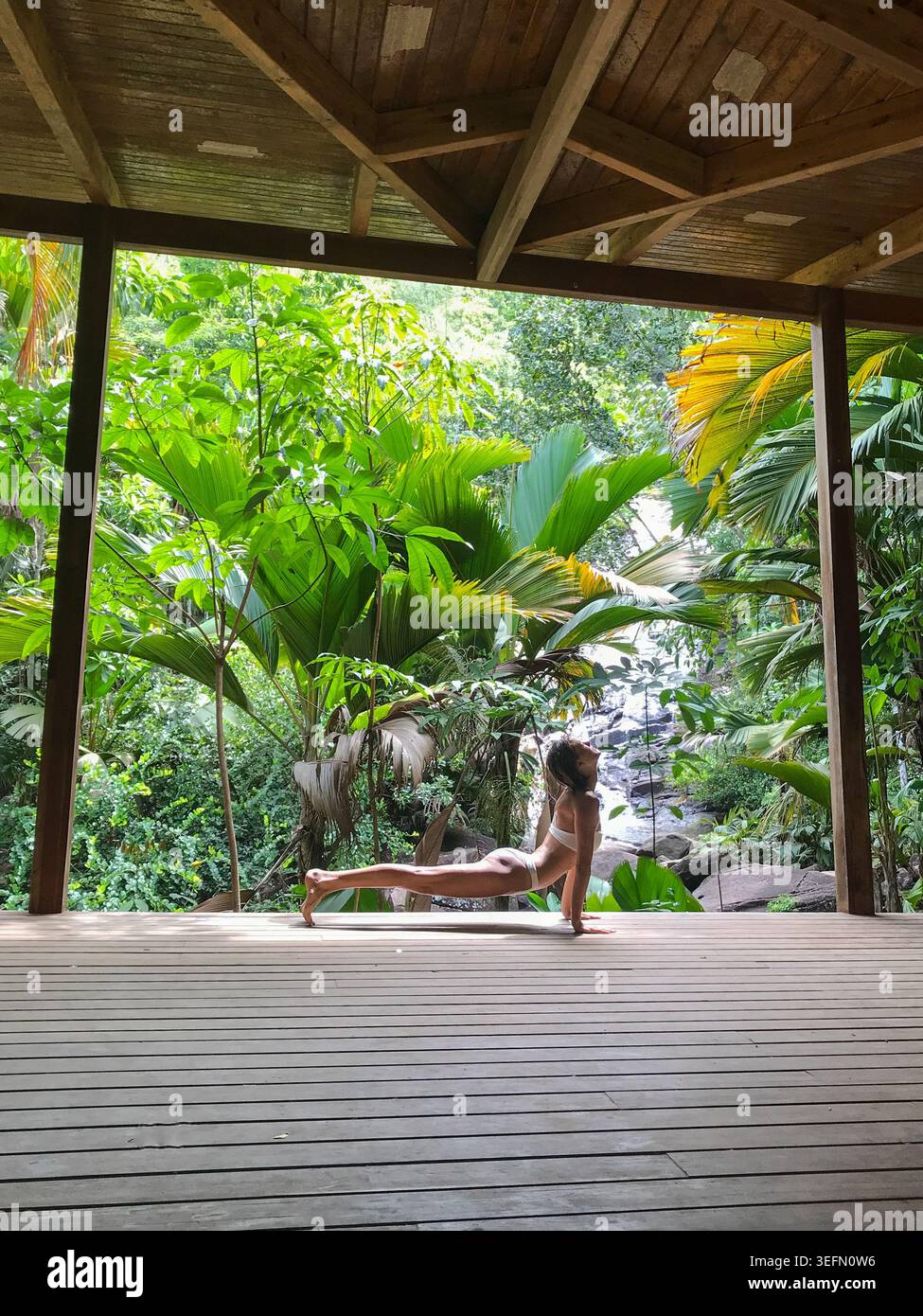 Eine Frau in einem Bikini übt auf einer offenen tropischen Terrasse, umgeben von üppig grüner Dschungelvegetation, eine nach oben gerichtete Hundeschule. Stockfoto