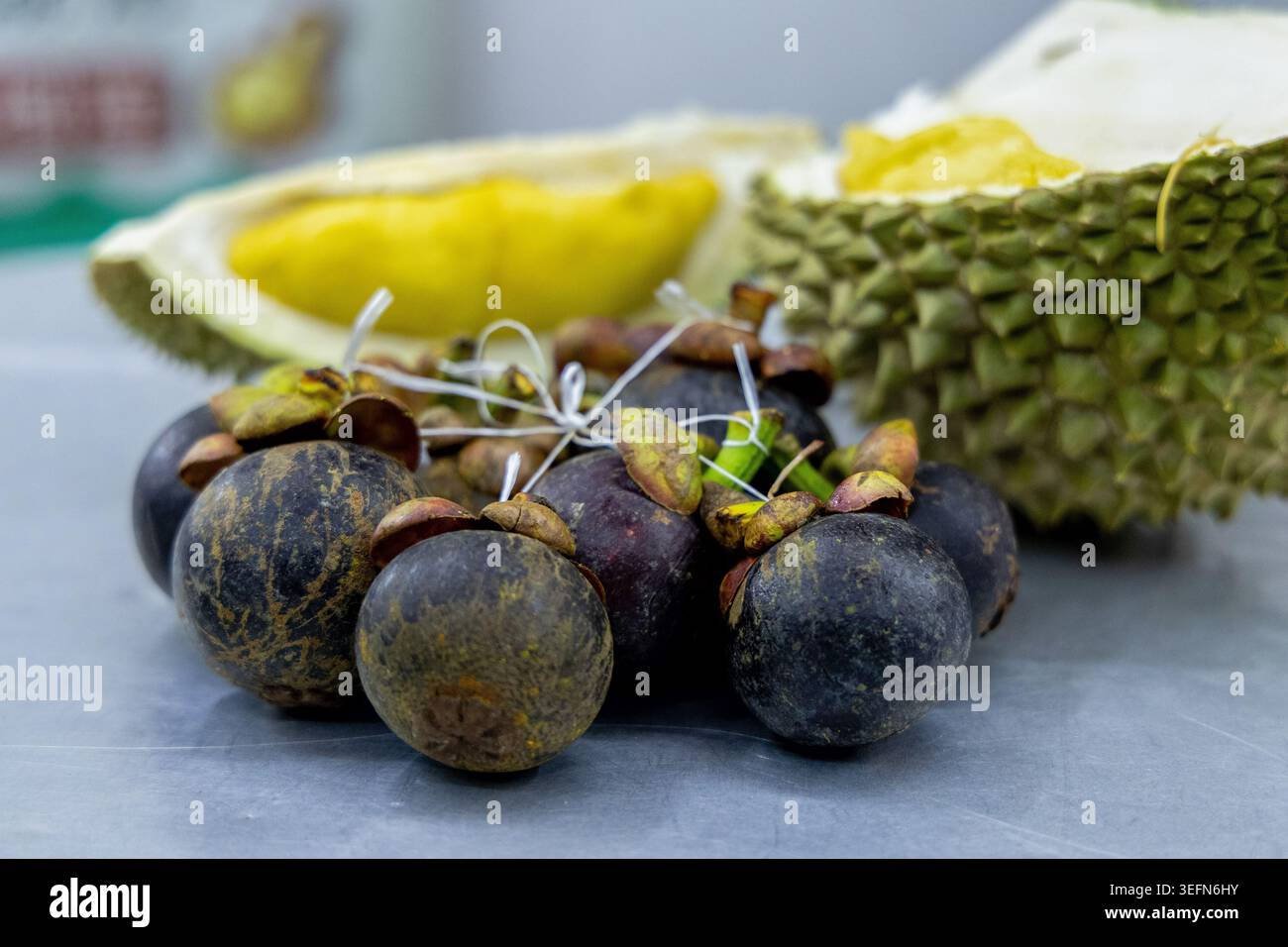 Frische Mangostane mit dunkelvioletten Rinden stapeln sich vor einer offenen Durianfrucht auf einem Tisch in Penang, Malaysia. Die kontrastierenden Texturen und Farben der tropischen Früchte betonen die reichen Produkte Südostasiens. Stockfoto