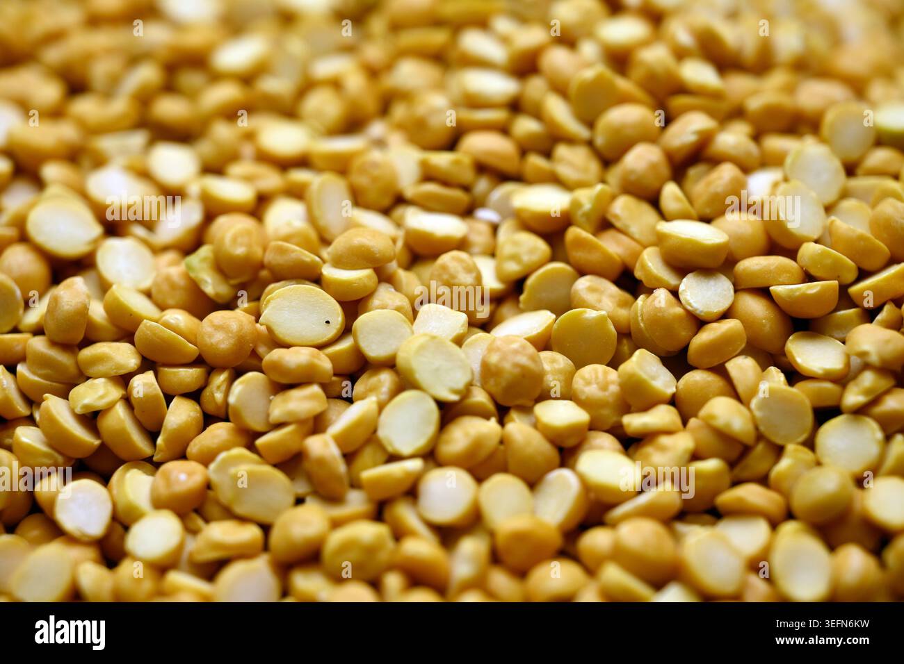 Split Chana Dal Textur mit Defocus Hintergründen Makrolinsen Lebensmittelfotografie Stockfoto