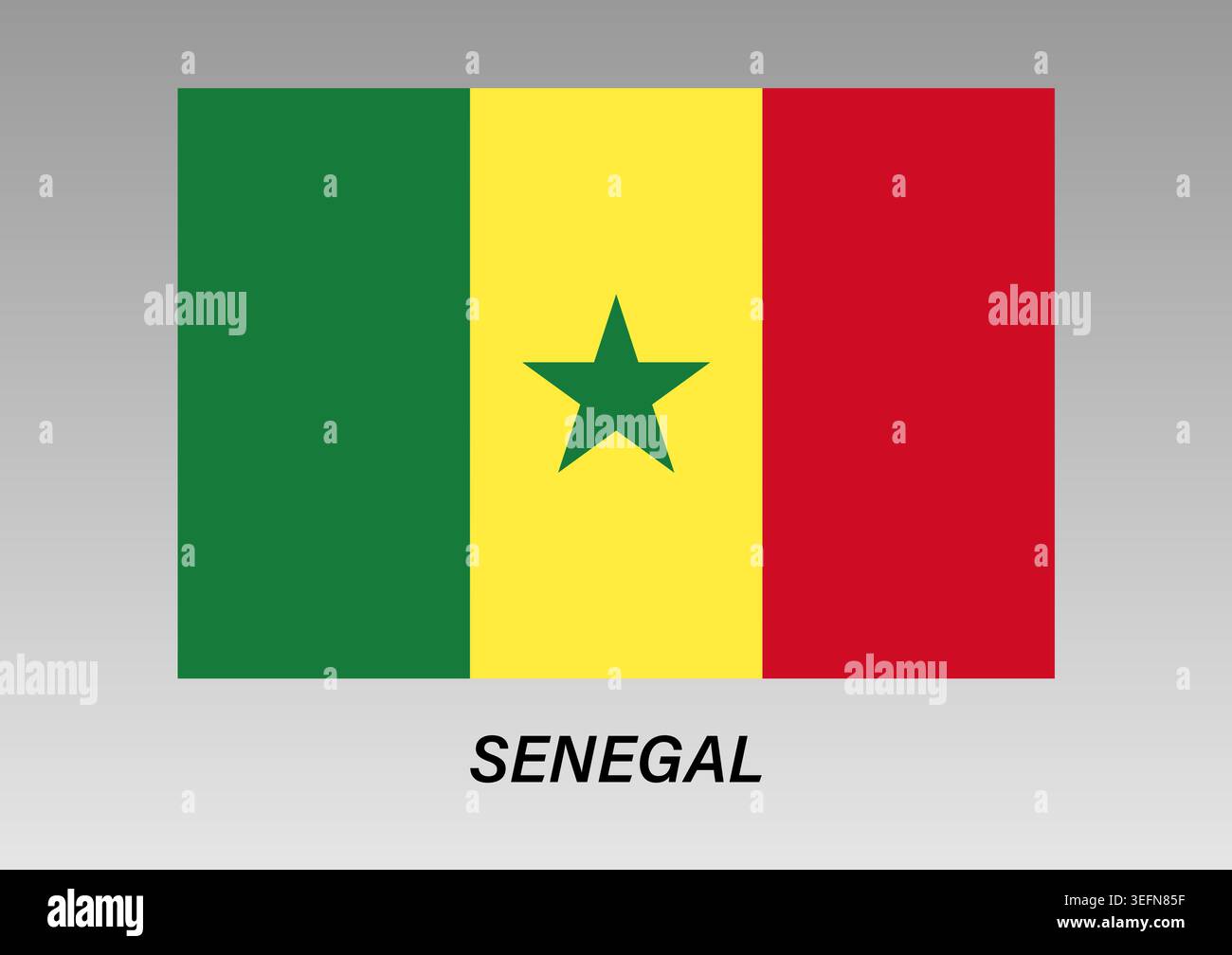 Flagge von Senegal. Senegal National Flag. Vektorabbildung. Stock Vektor