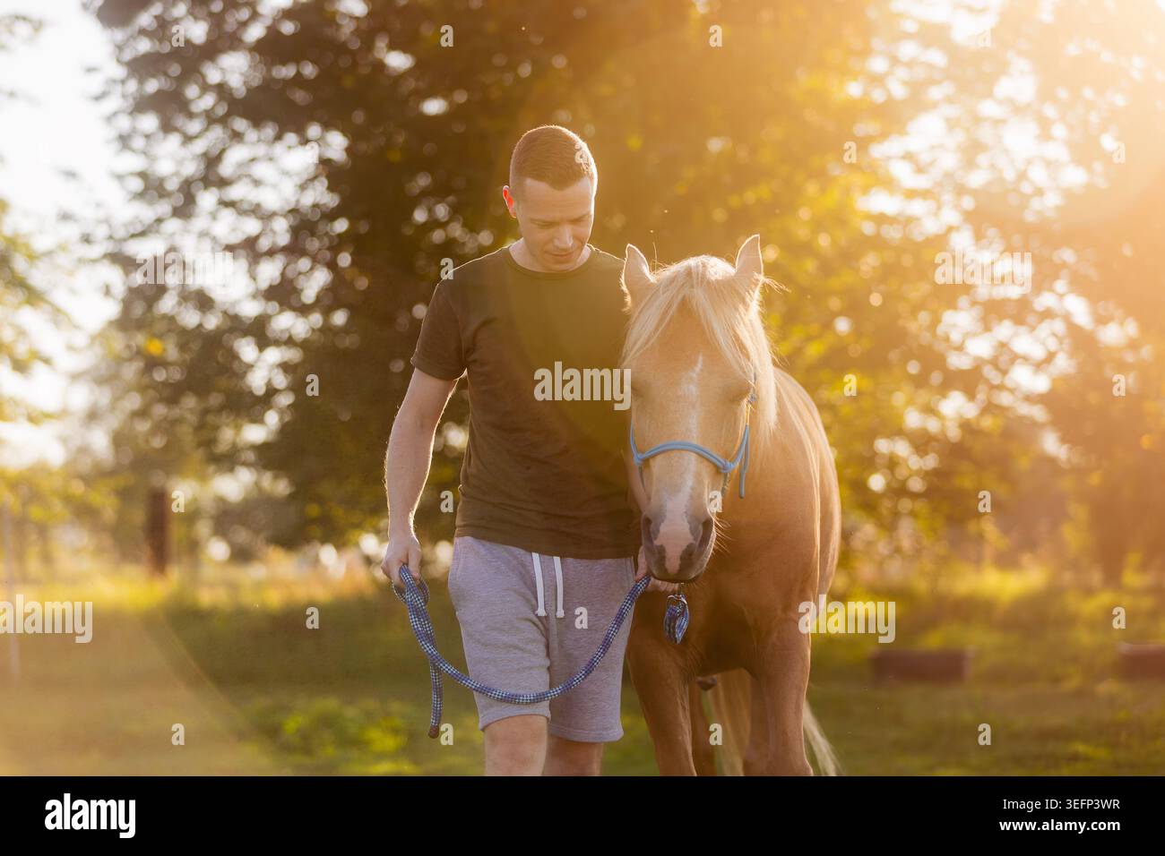 Mann führt Pferd auf der Wiese während der Hippotherapiesitzung am sonnigen Tag. Tiergestützte Therapie, Rehabilitation, Outdoor-Aktivität und Gesundheitskonzept Stockfoto