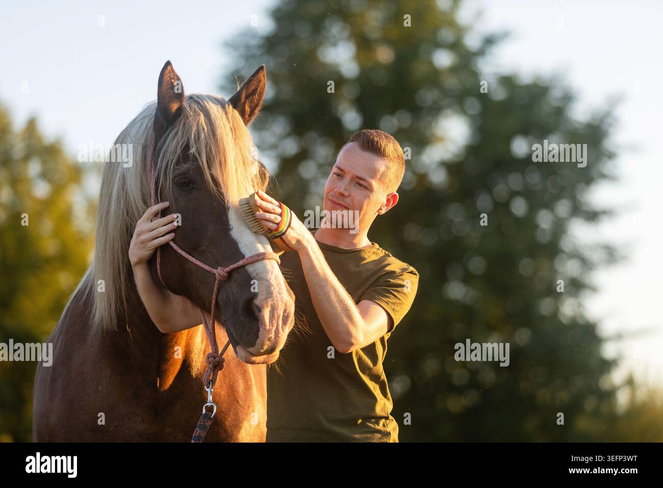 Pferdepfleger während der Hippotherapiesitzung am sonnigen Tag. Tiergestützte Therapie, Rehabilitation, Outdoor-Aktivität und Gesundheitskonzept. Stockfoto