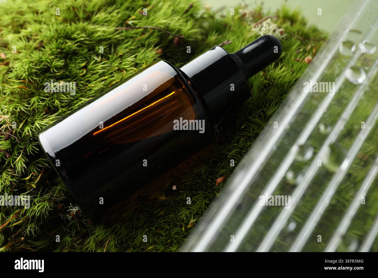 Flasche Kosmetiköl auf grünem Moos und Zellpolycarbonat, Großaufnahme Stockfoto