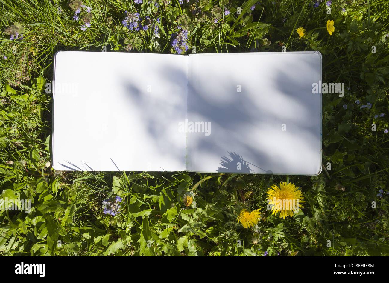 Leeres geöffnetes Sketchbook-Modell auf grünem Grasfeld. Realistische Notizbuchschablone mit künstlerischen Pflanzenschatten und hellgelben Löwenzahnblüten im Summ Stockfoto