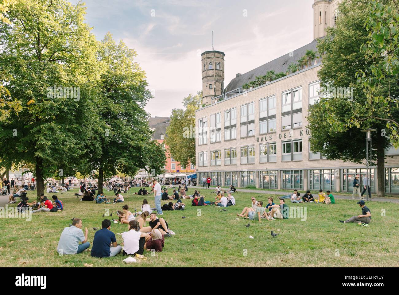 Im Sommer sitzen die Menschen in einem Park neben der Kölner Großen Martin-Kirche am Ufer des Rheins. Stockfoto