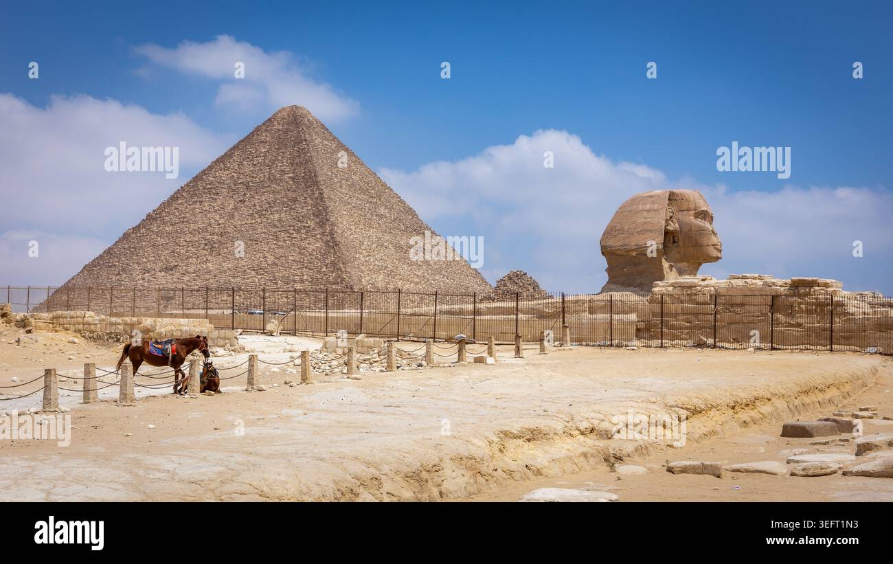 Blick auf das Gizeh-Plateau mit der Großen Pyramide von Gizeh (Cheops-Pyramide) und der Großen Sphinx von Gizeh, eingezäunte archäologische Stätte mit stehenden Pferden. Stockfoto