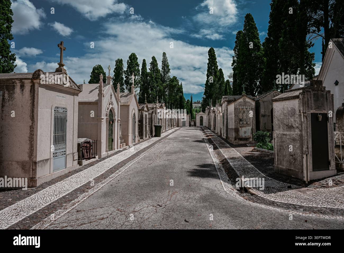 Eine ruhige, von Steinen gesäumte Allee führt durch einen eleganten historischen Friedhof, der von reich verzierten Mausoleen und hohen Zypressen eingerahmt ist. Stockfoto
