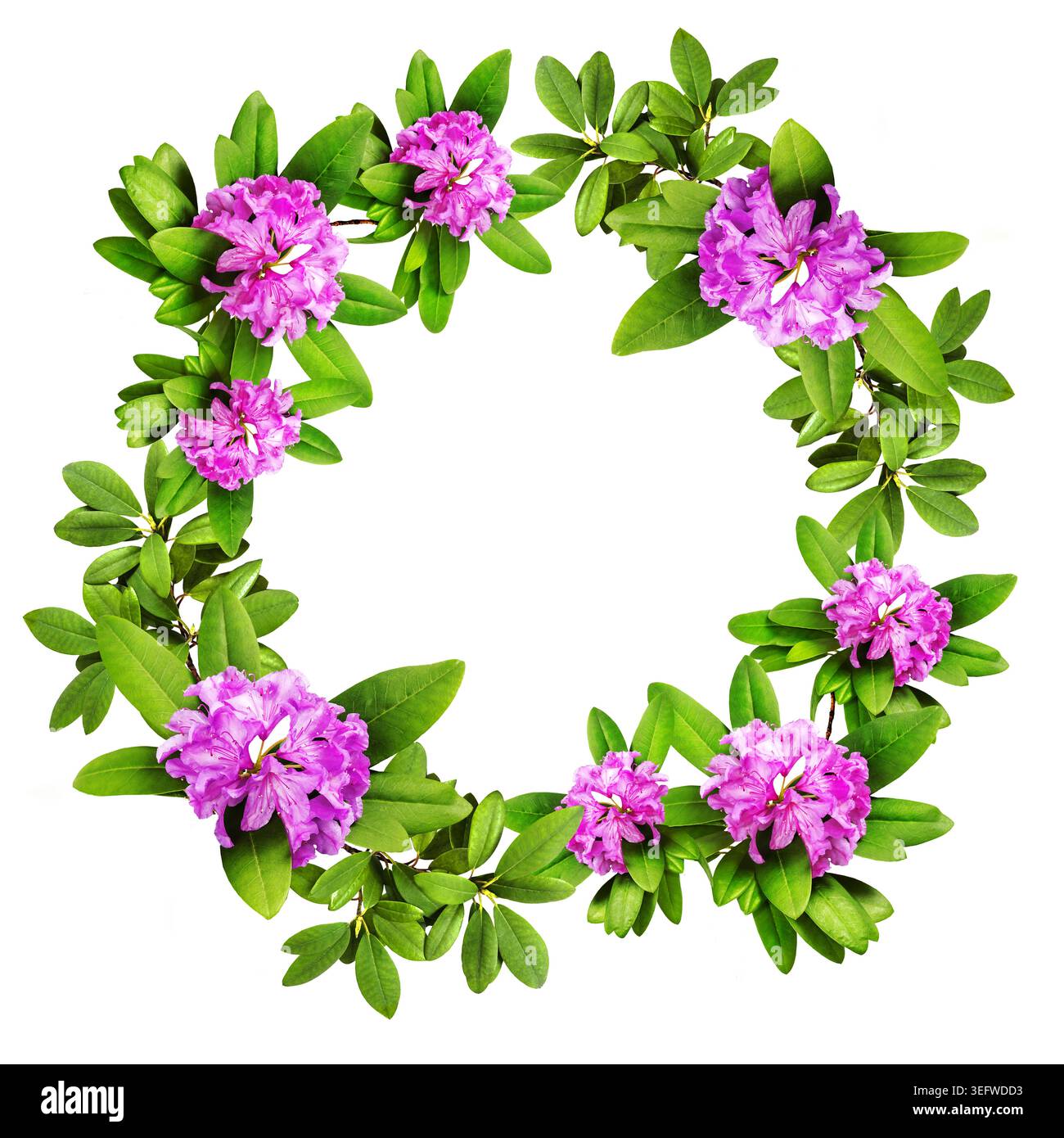 Realistische Rhododendron Blumenkränze, herzförmige Komposition und botanische Elemente isoliert auf weißem Hintergrund, romantische florale Clipart-Set Stockfoto