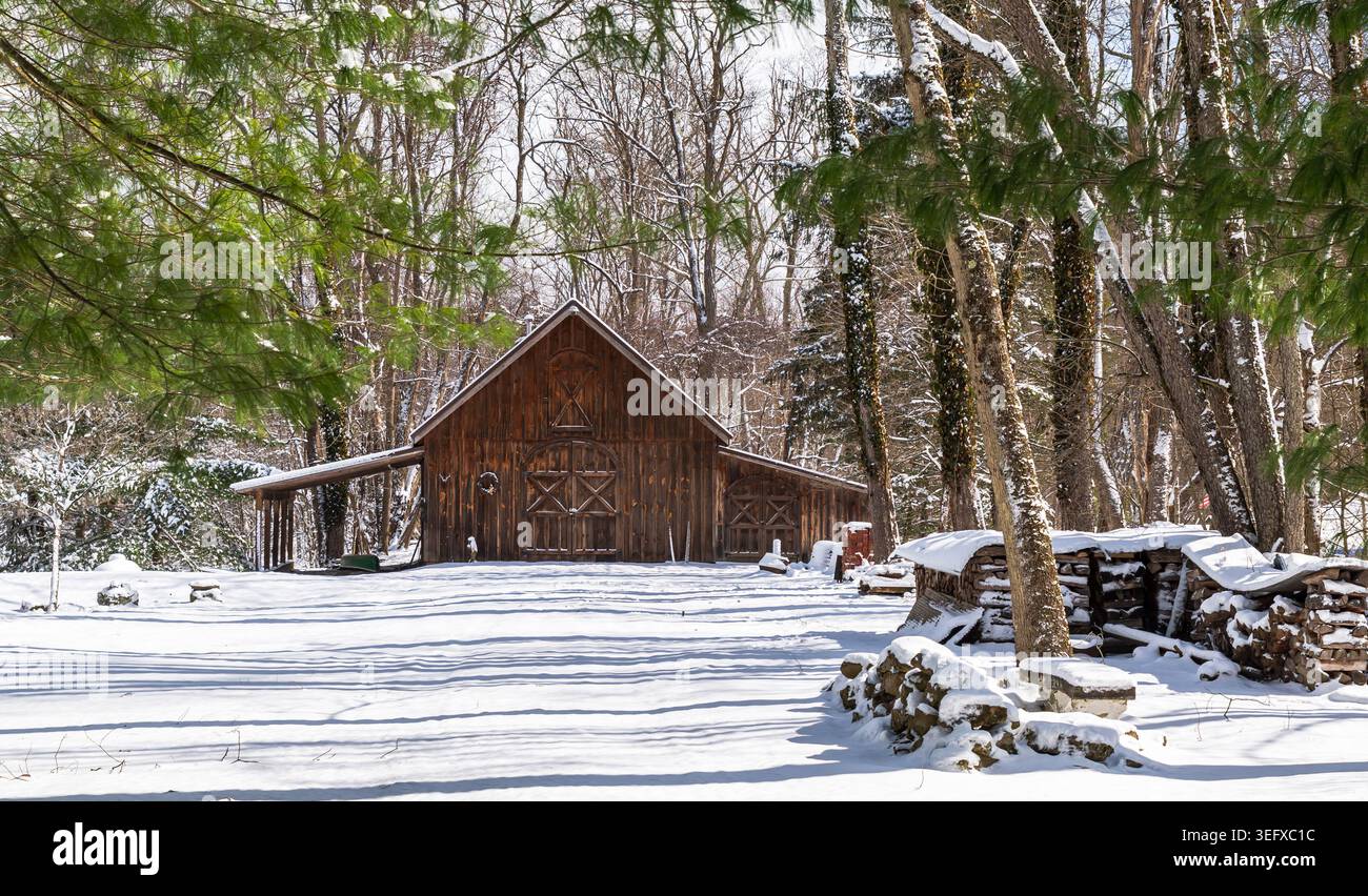 Eine rustikale Holzscheune umgeben von frischem Schnee und Waldbäumen in ALTHOM, Pennsylvania, USA Stockfoto