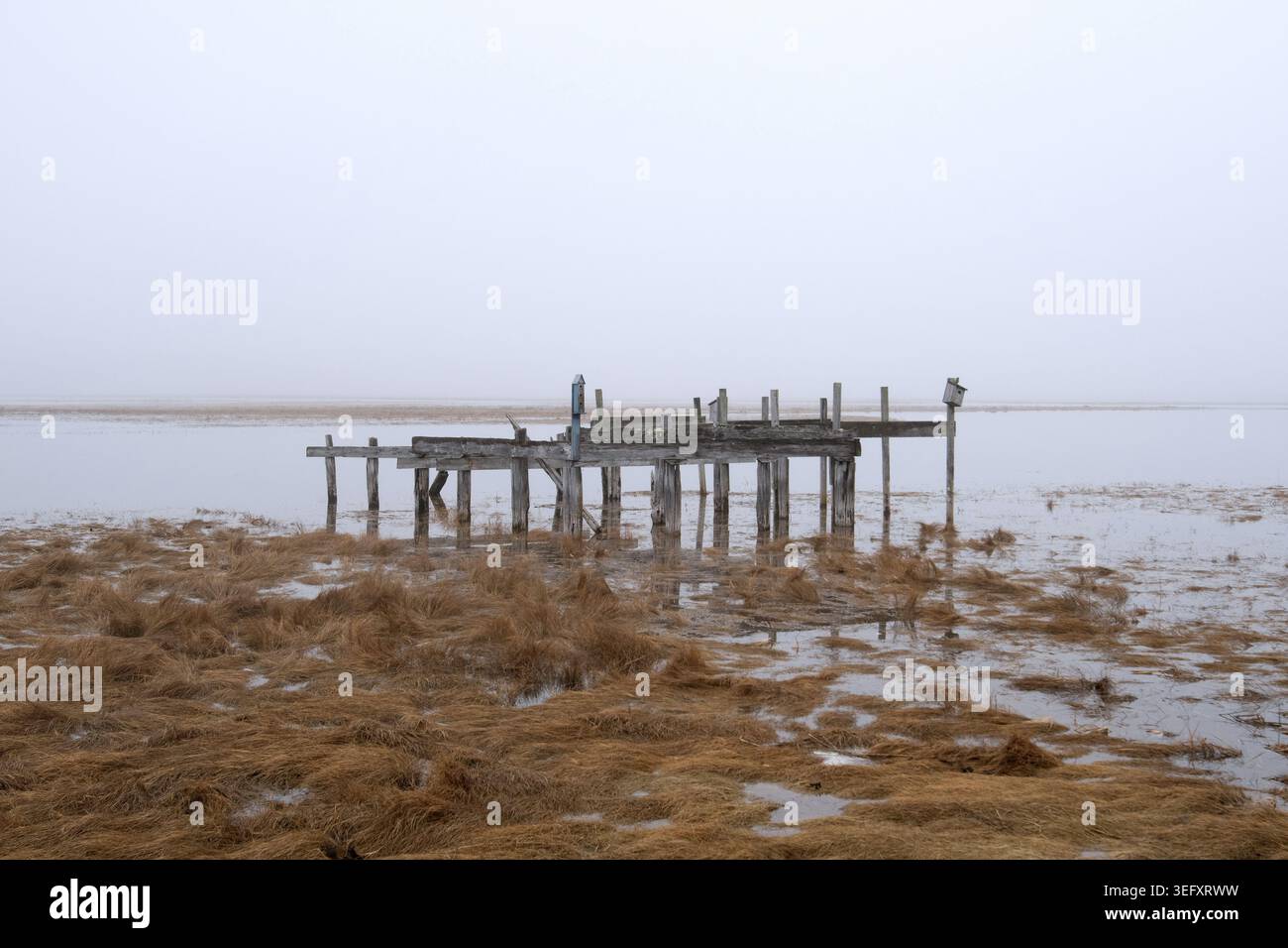 Verwittertes Dock, Seegras und Wasser Stockfoto