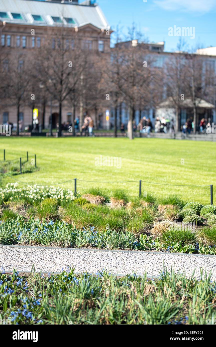 Junger, gut gepflegter Rasen mit gepflegten Blumenbeeten und Frühlingsblumen im öffentlichen Garten. Stockfoto