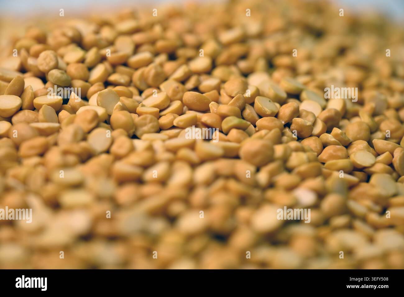 Split Chana Dal Textur mit Defocus Hintergründen Makrofotografie Stockfoto