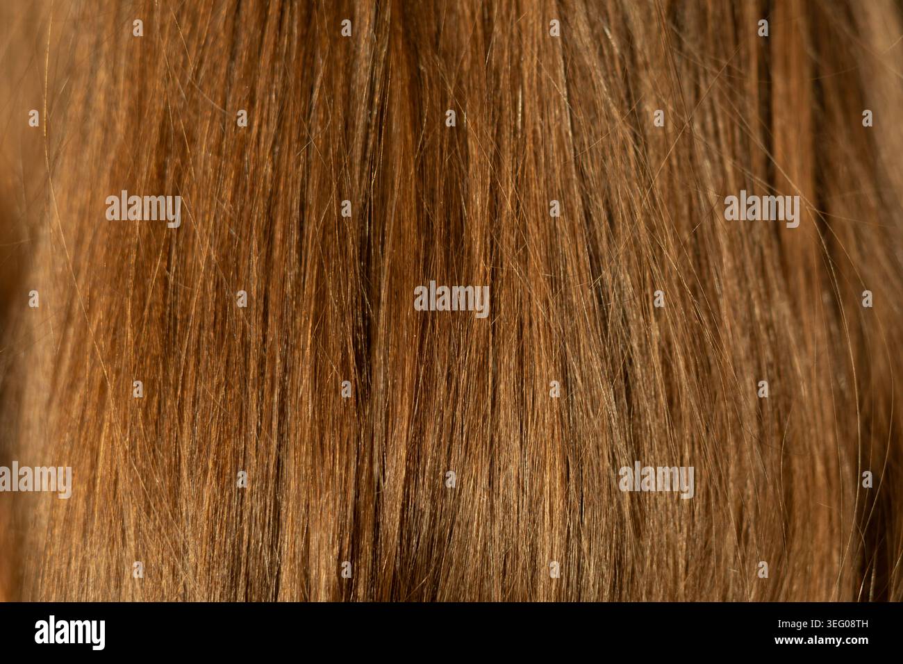Nahaufnahme Der Struktur Brauner Haarsträhnen. Makroaufnahme langer brauner Haarsträhnen mit natürlicher Textur, Glanz, Farbe und feinen Details für Schönheit Stockfoto