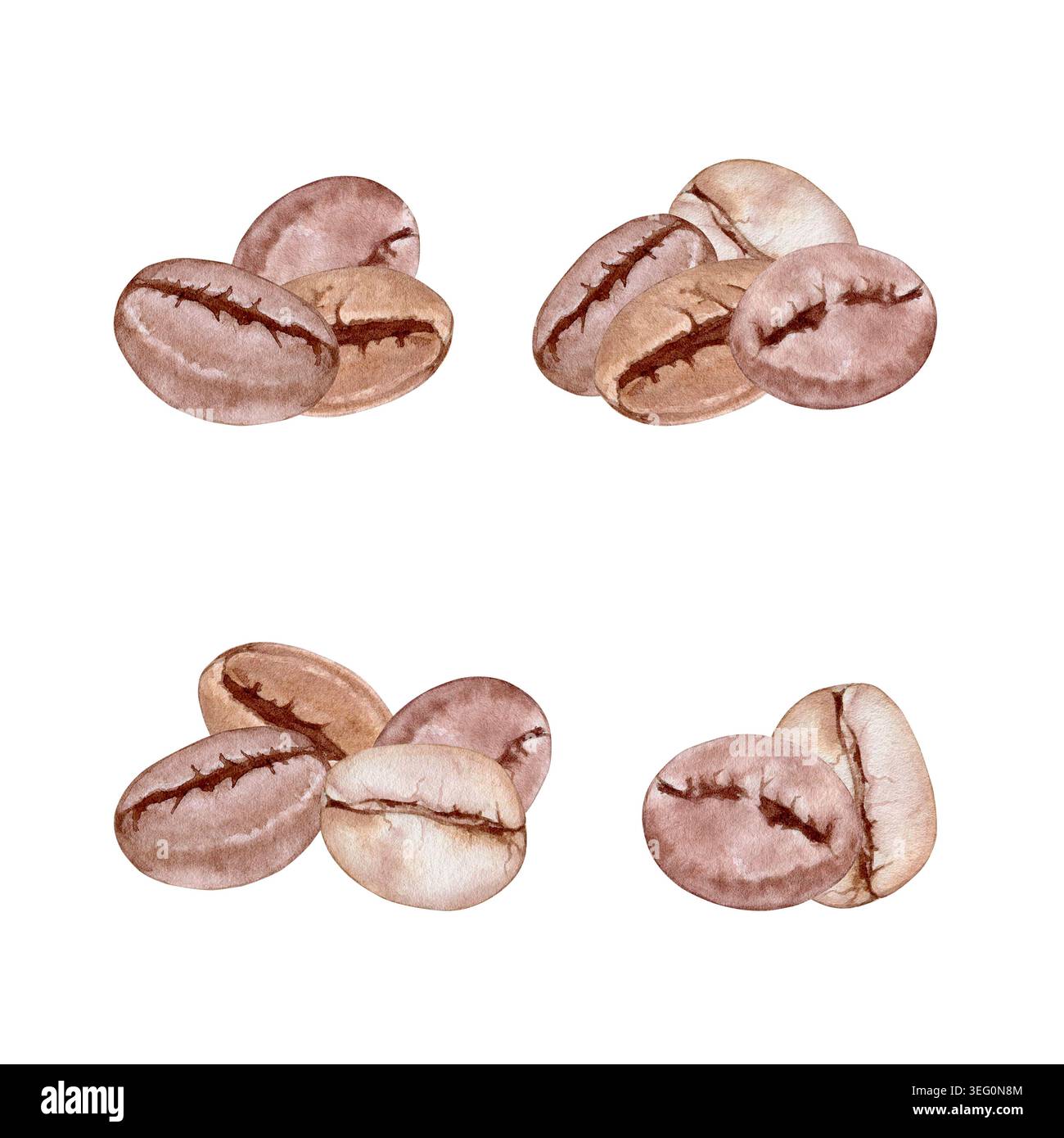 Kaffeebohnen Kompositionen Aquarell isoliert Illustrationsset. Handgezeichnetes botanisches Clipart aus gerösteten arabica-Stapeln für die Gestaltung von Cafés, Kaffee-Sho Stockfoto