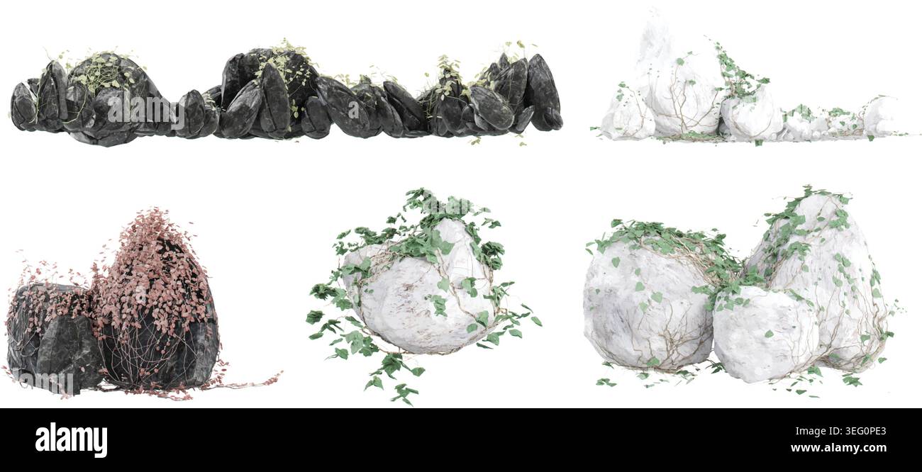 Sammlung von Ivy auf einem Felsen mit weißem Hintergrund Stock Vektor