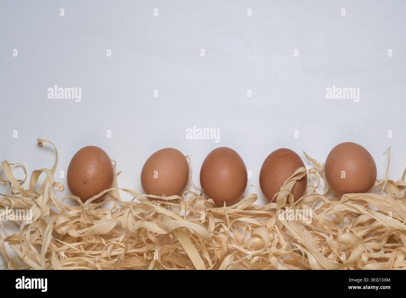 Fünf braune Eier in einer Reihe über einem Bett aus dekorativem Stroh auf weißem Hintergrund angeordnet. Stockfoto