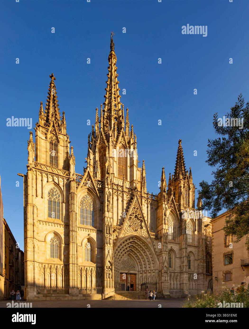 Barcelona Kathedrale, Katalonien, Spanien Stockfoto