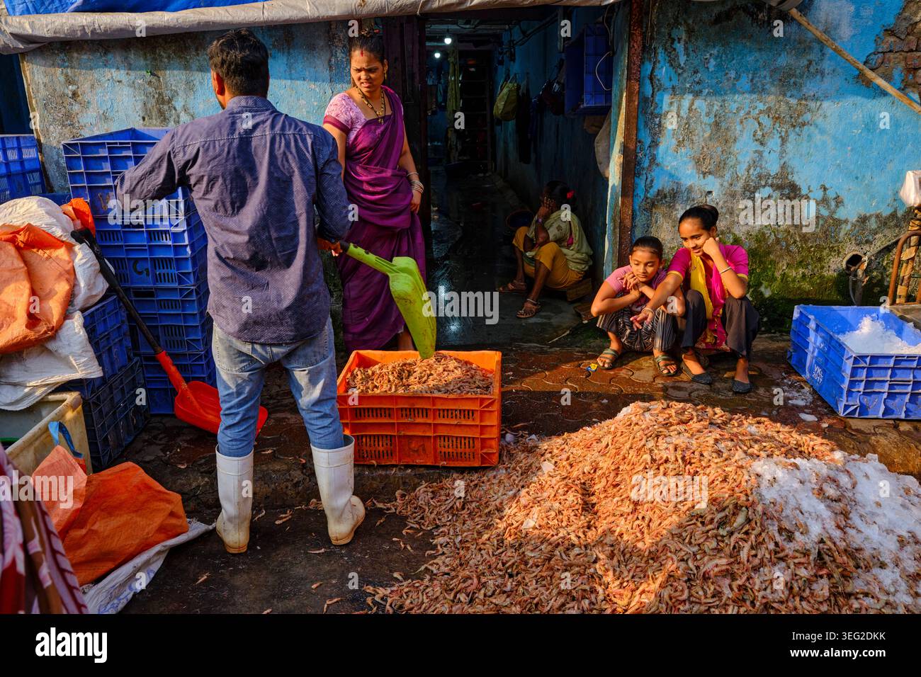 Indien, Maharashtra, Mumbai, Colaba District, Sassoon Docks, einer der größten Fischmärkte Mumbais Stockfoto