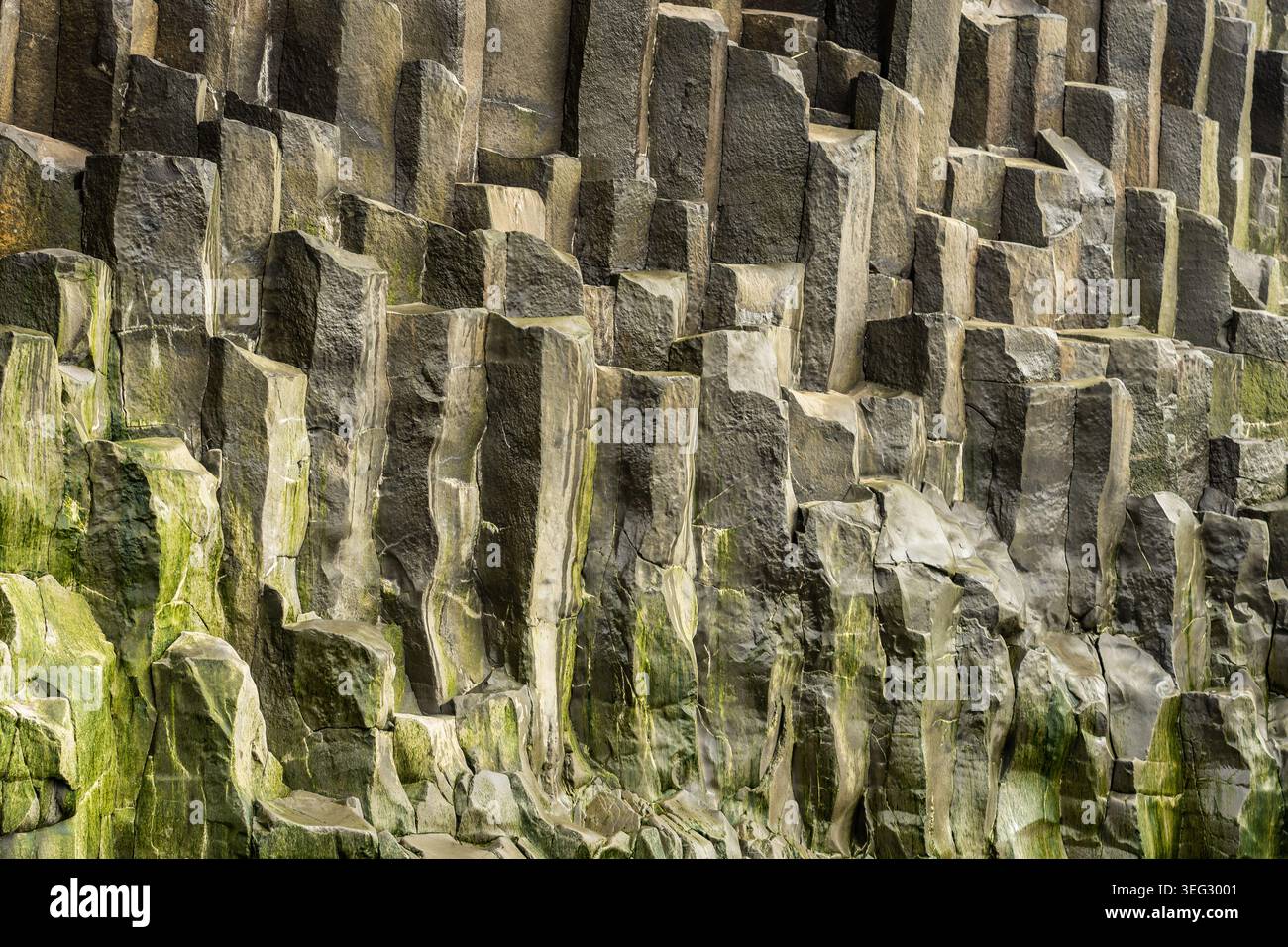 Basaltsäulen, natürliche Säulen aus gehärtetem vulkanischem Gestein, berühmt für ihre geometrischen, oft sechseckigen Formen, die auf Reynisfjara von Moos bedeckt sind Stockfoto