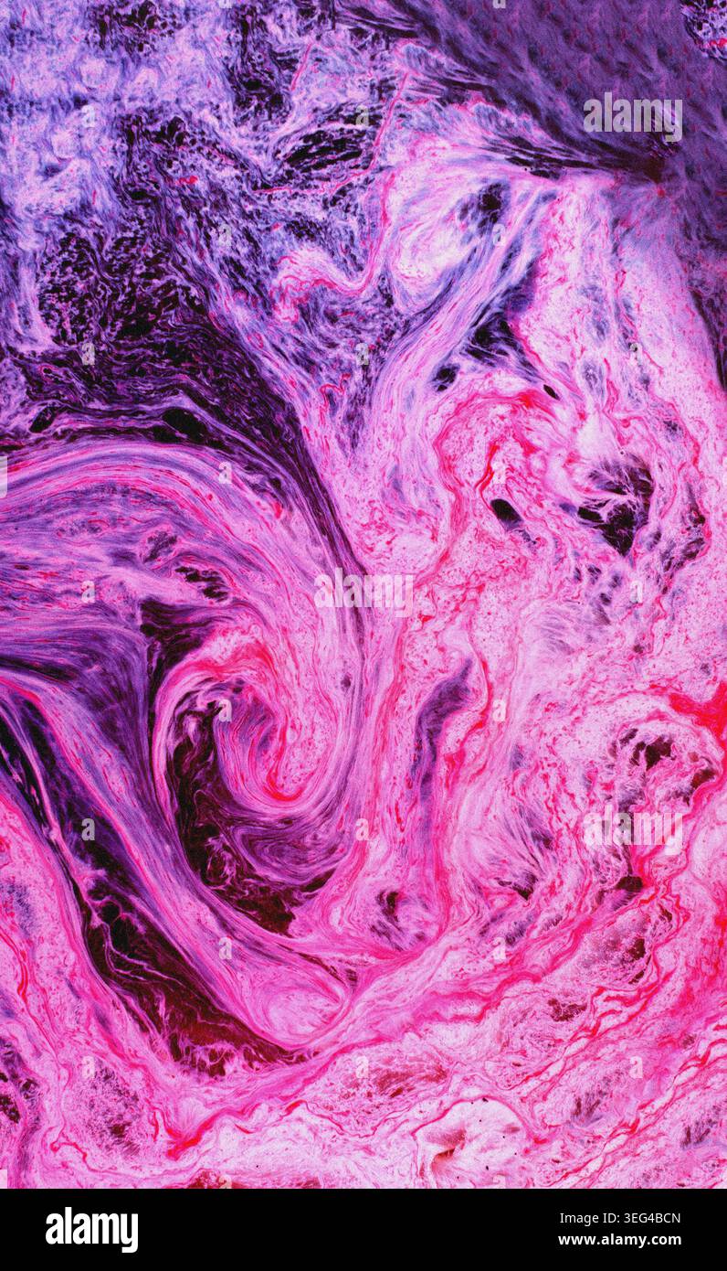 Leuchtend rosa und violette Flüssigkeiten mischen sich, um dynamische Wirbel und Marmorierungsmuster zu erzeugen. Abstrakte fließende Formen bilden einen fließenden Hintergrund Stockfoto
