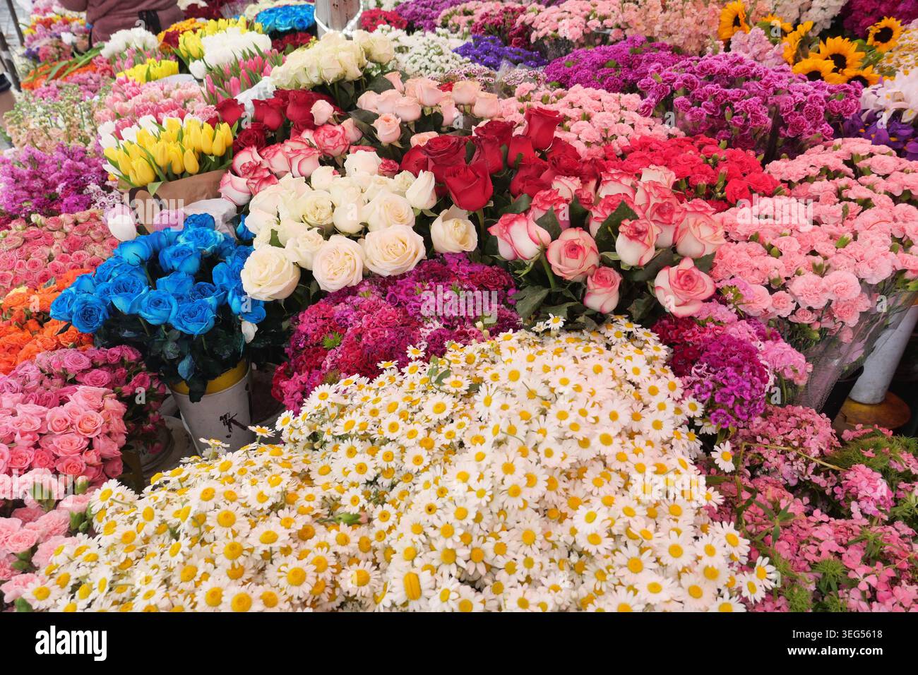 Blumenmarkt voller farbenfroher Blüten während der Tageslichtstunden Stockfoto