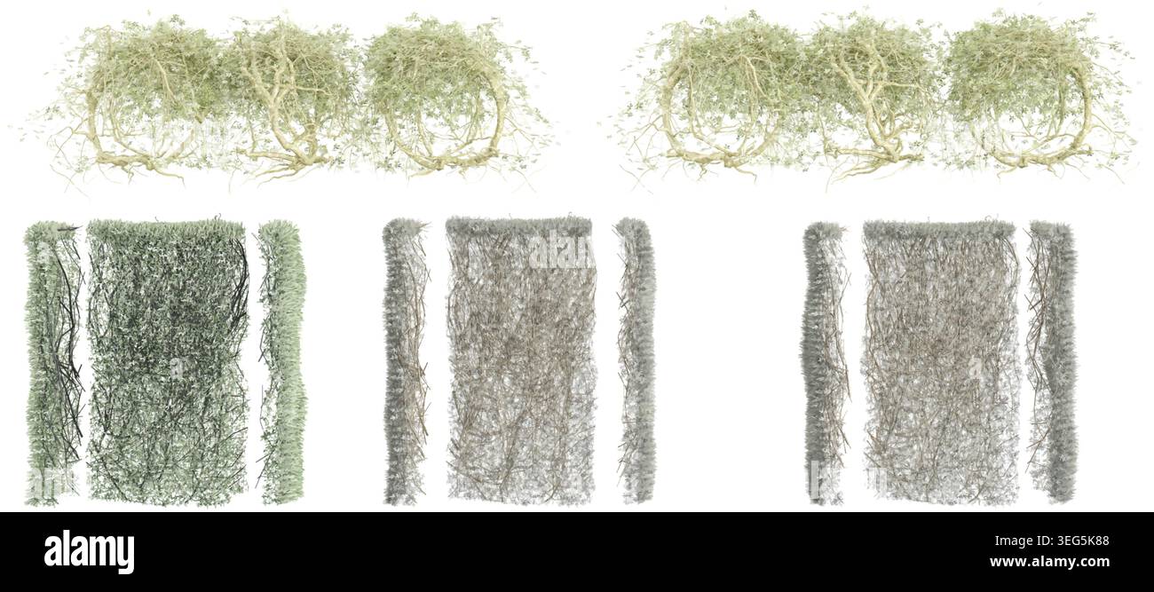 Satz von Blättern für Wände, die auf transparentem Hintergrund isoliert sind. 3D-Rendering Stock Vektor