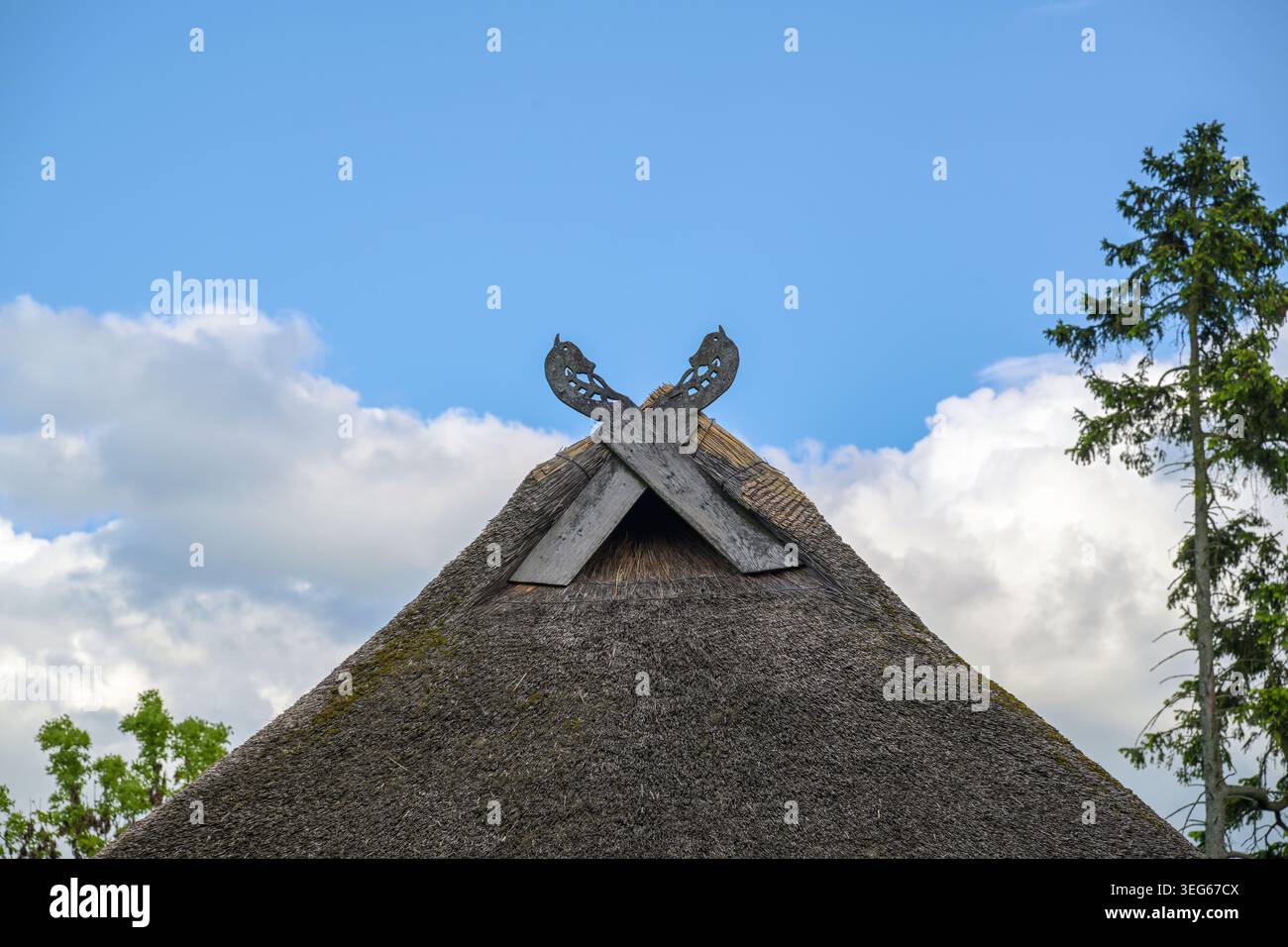 Stilisierte hölzerne Pferdeköpfe dienen als Windbretter auf dem Giebeldach eines Strohdachhauses, traditionell in Norddeutschland, blauer Himmel mit Wolken, Kopie s Stockfoto