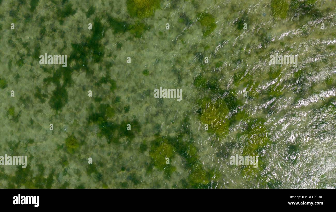 Von oben nach unten auf flaches grünes Meereswasser mit Algen- oder Algenflecken und geriffelter Oberflächenstruktur, natürlicher abstrakter Hintergrund. Sokotra, Yem Stockfoto