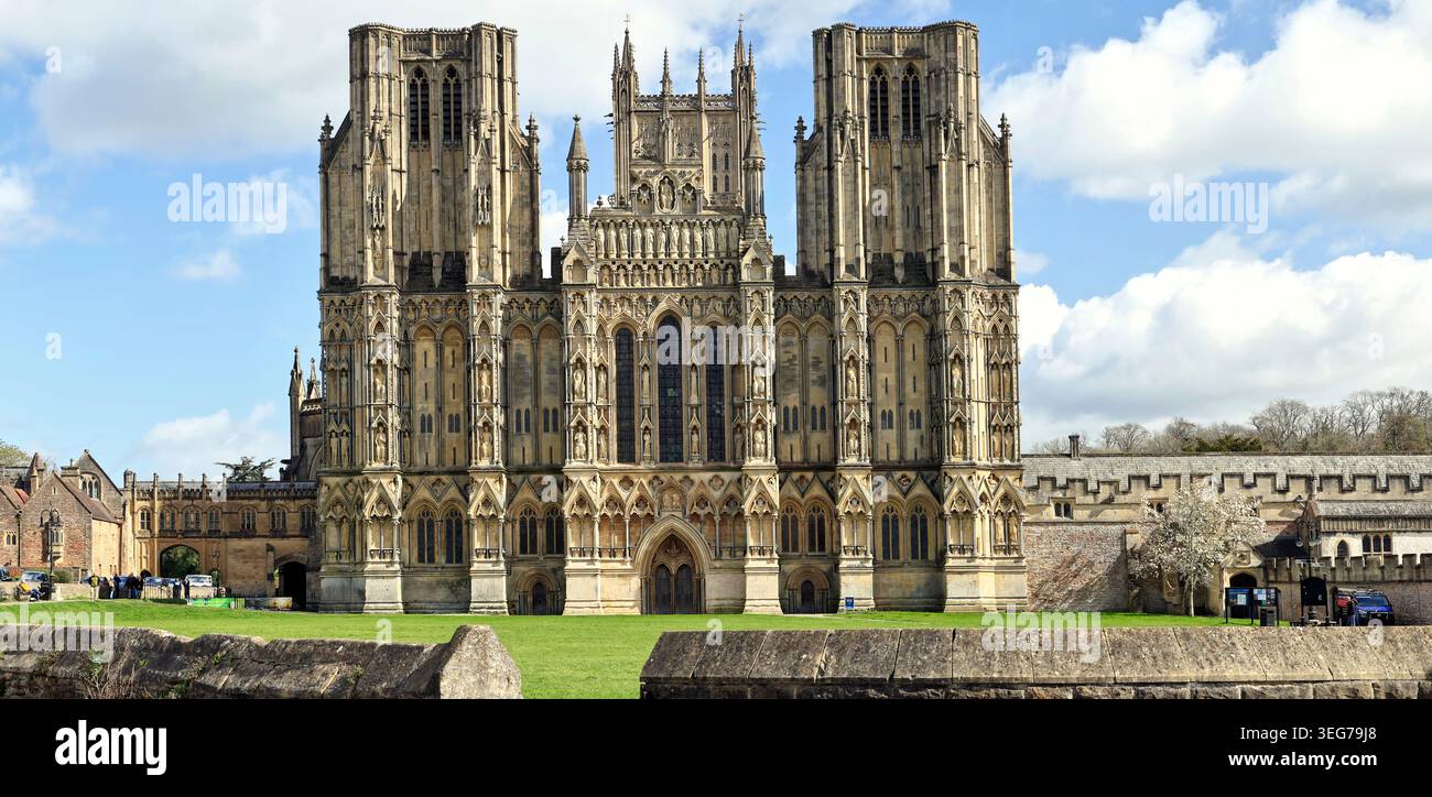Wells Cathedral Front Elevation und Cathedral Green, Wells, Somerset, England, Großbritannien, UK Stockfoto