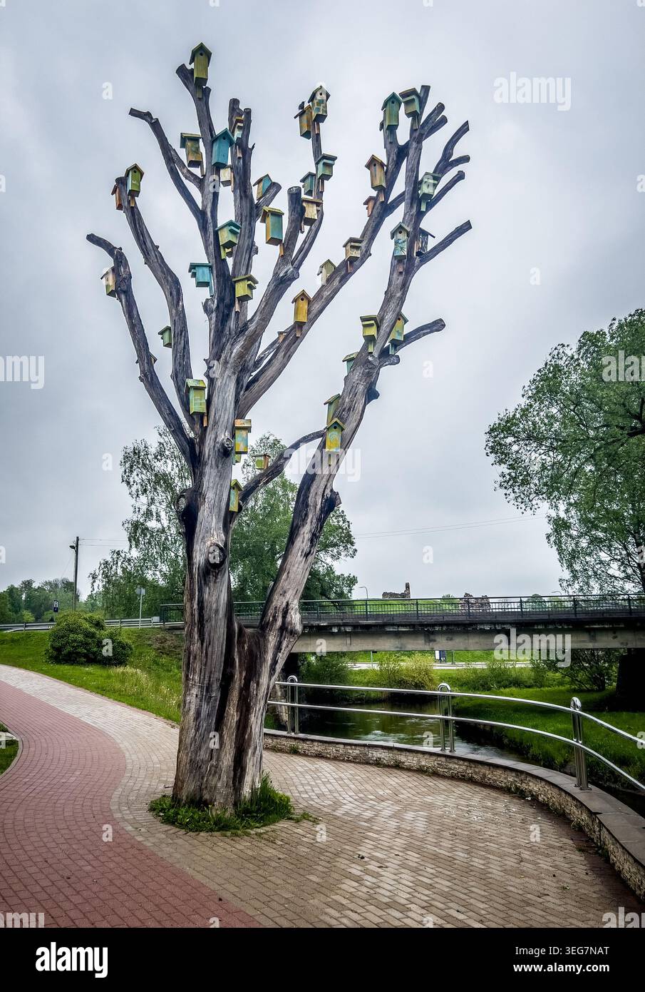Ein Vogelhaus aus altem Trockenholz bestand aus vielen Vogelhäusern Stockfoto