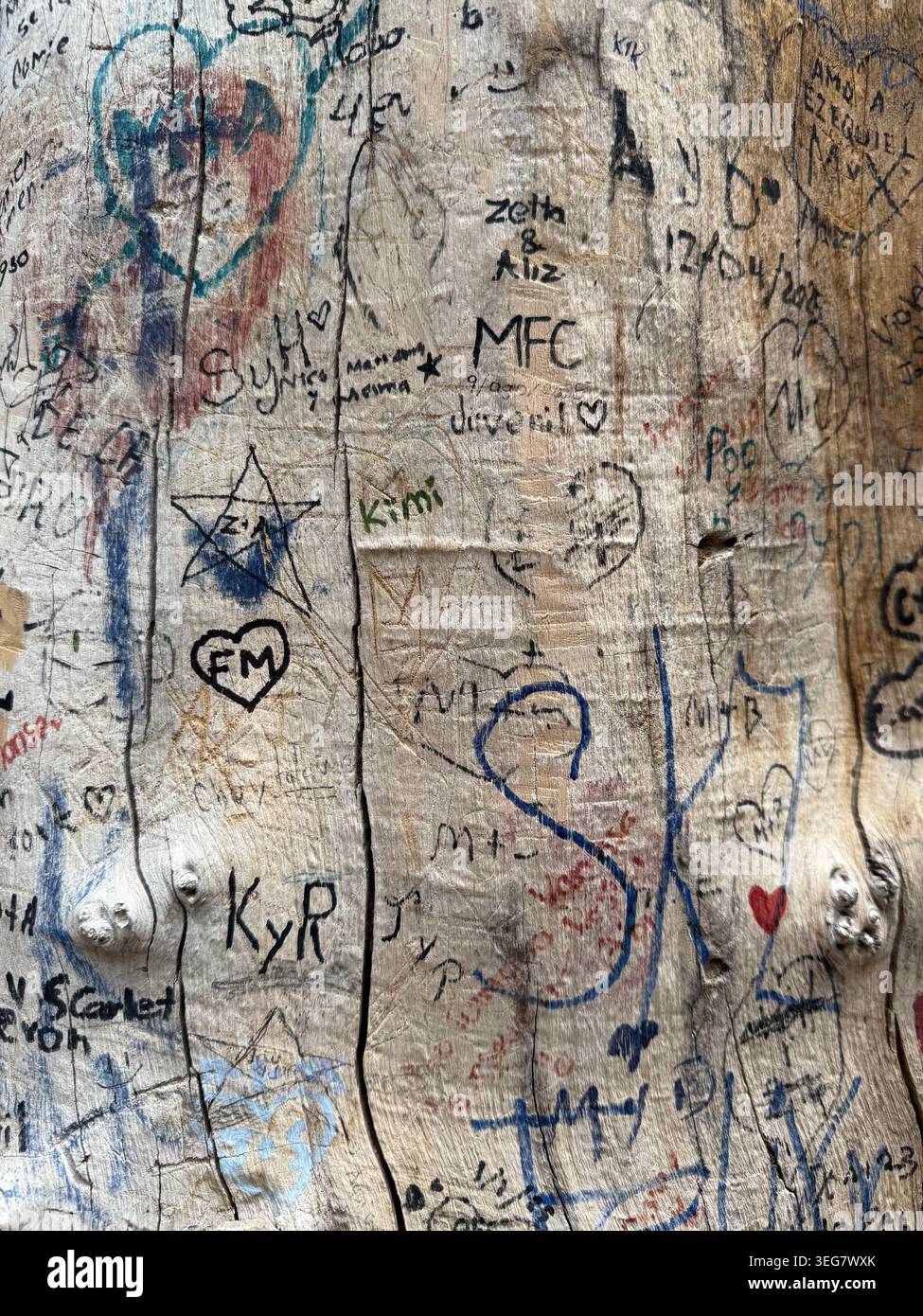 Baumstamm bedeckt mit verschiedenen Schnitzereien und Graffiti einschließlich Namen Initialen und Herzen - Smartphone-aufgenommenes Stockfoto