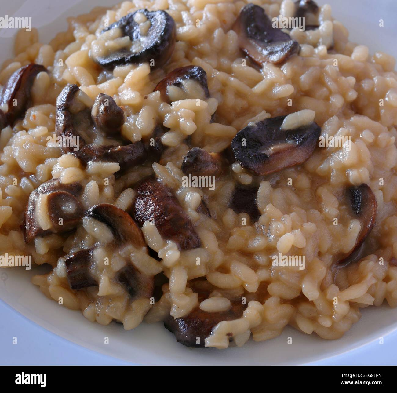 Frisch zubereitetes cremiges Pilzrisotto - Risotto Ai funghi Porcini. In einer blau-weißen Keramikschale. Nahaufnahme. Selektiver Fokus. Stockfoto