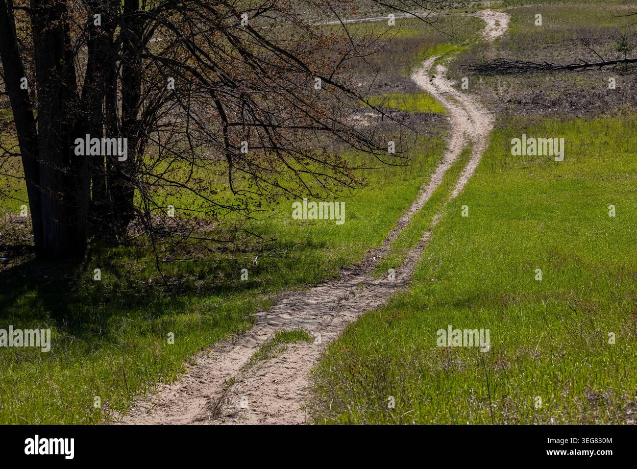 Sandstraße im Frühling, Mecosta County, Michigan, USA Stockfoto