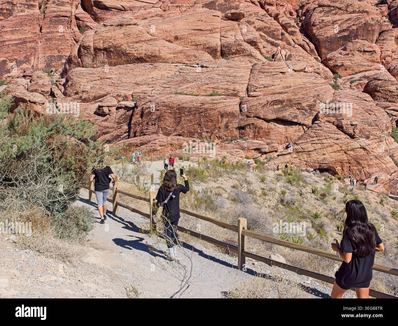 Wanderweg Calico Hills unter roten Sandsteinfelsen der Red Rock Canyon National Conservation Area Stockfoto